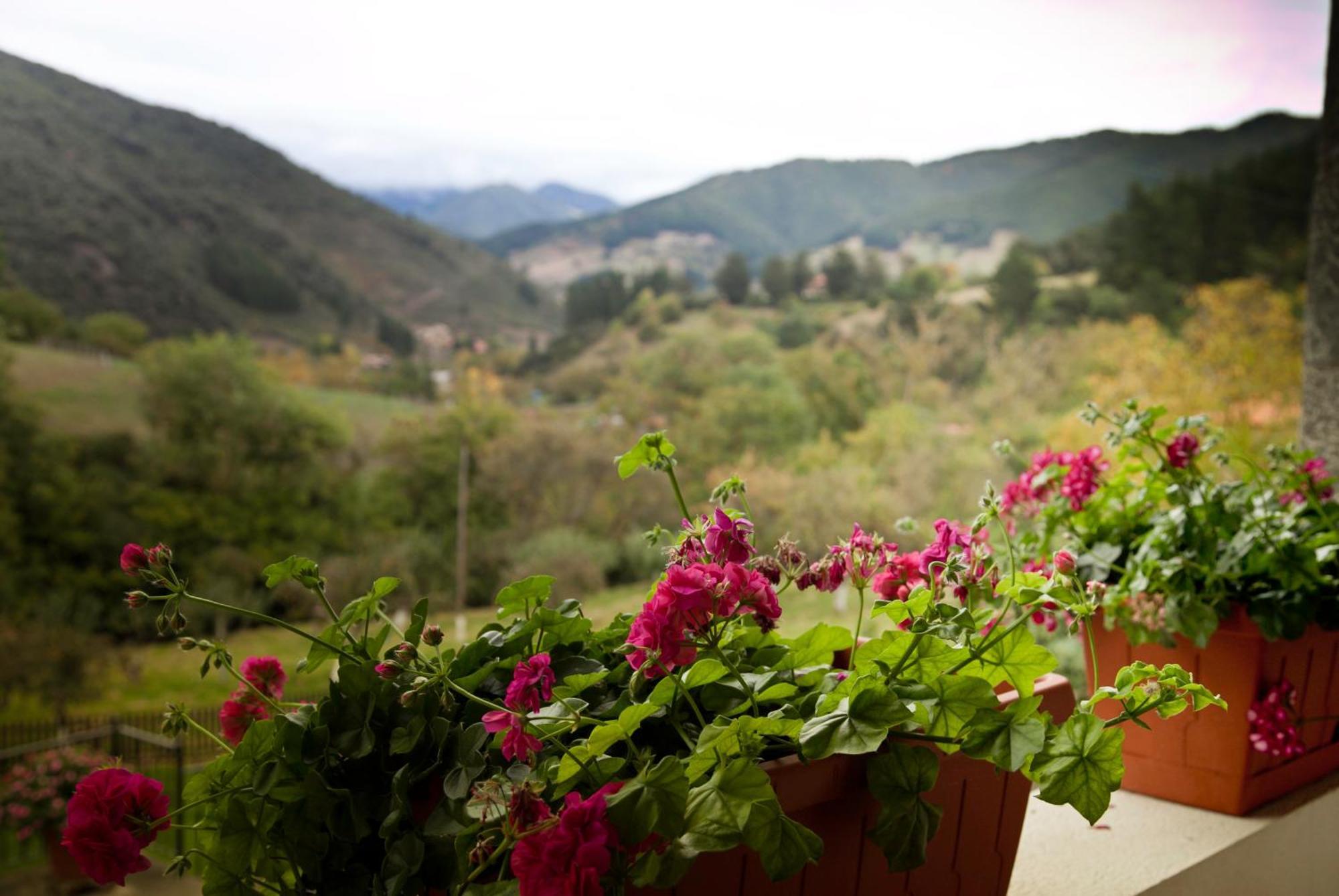 Viviendas Rurales Traldega Turieno Dış mekan fotoğraf